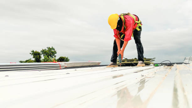 Best Roof Maintenance and Cleaning  in Bellmead, TX