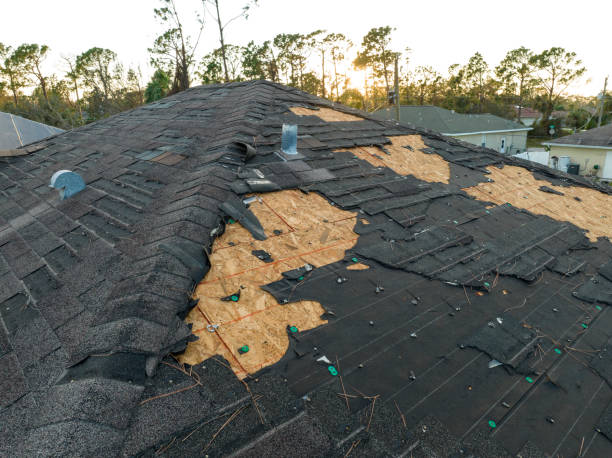 Best Steel Roofing  in Bellmead, TX